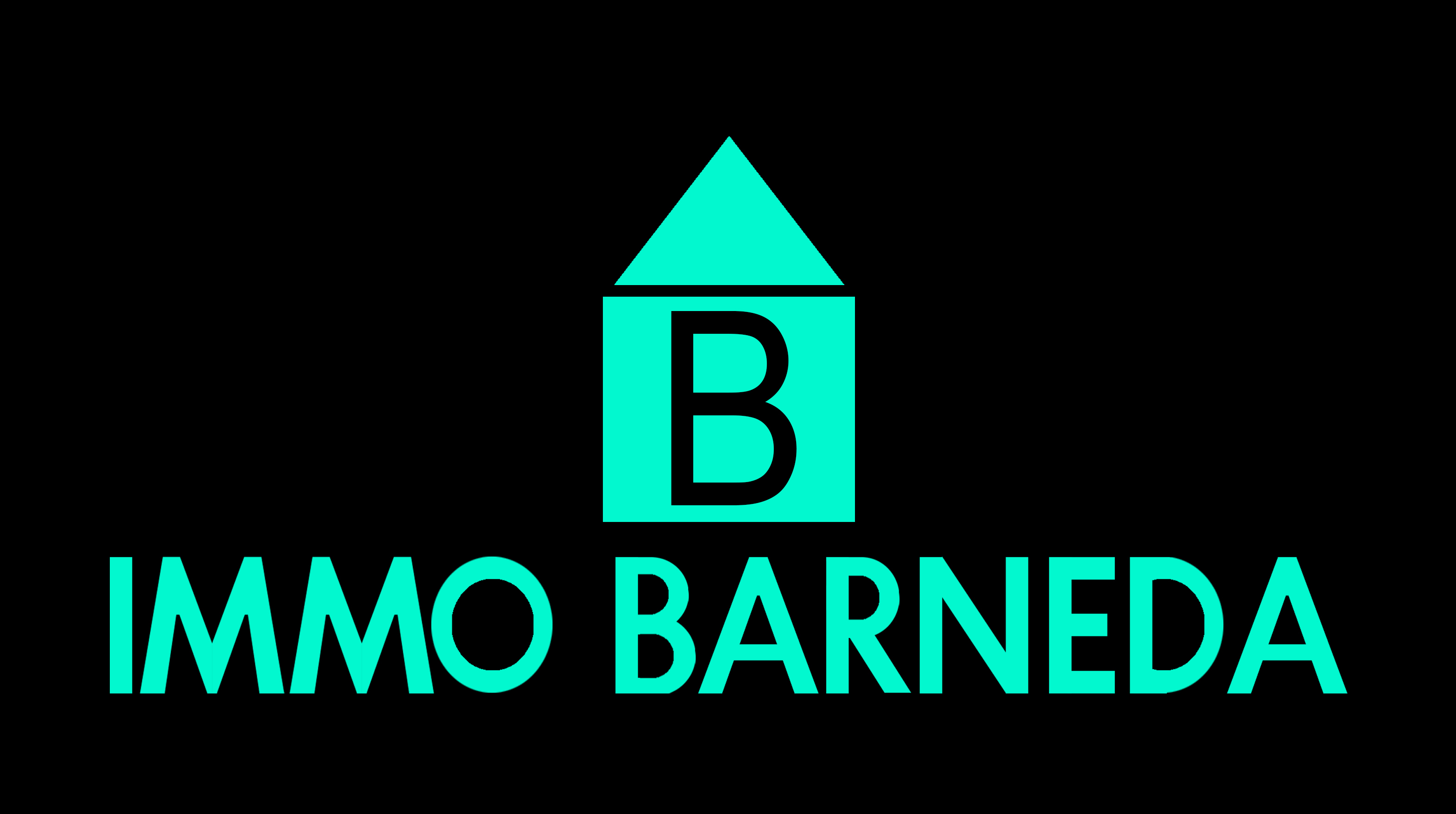 Immo Barneda