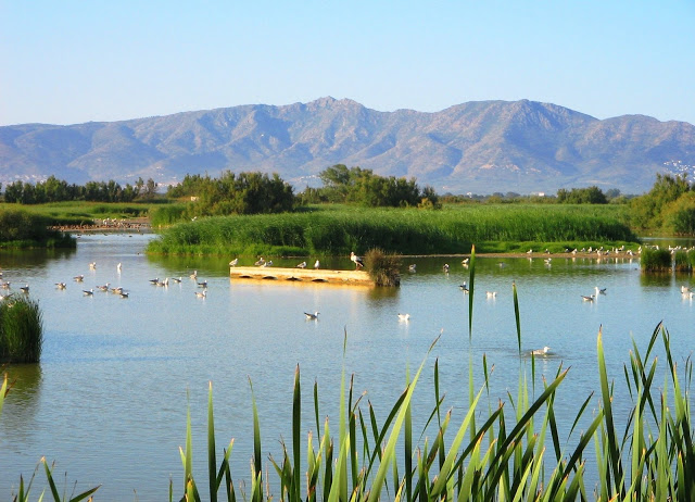 Le parc naturel 'dels Aiguamolls de l'Empordà', Empuriabrava