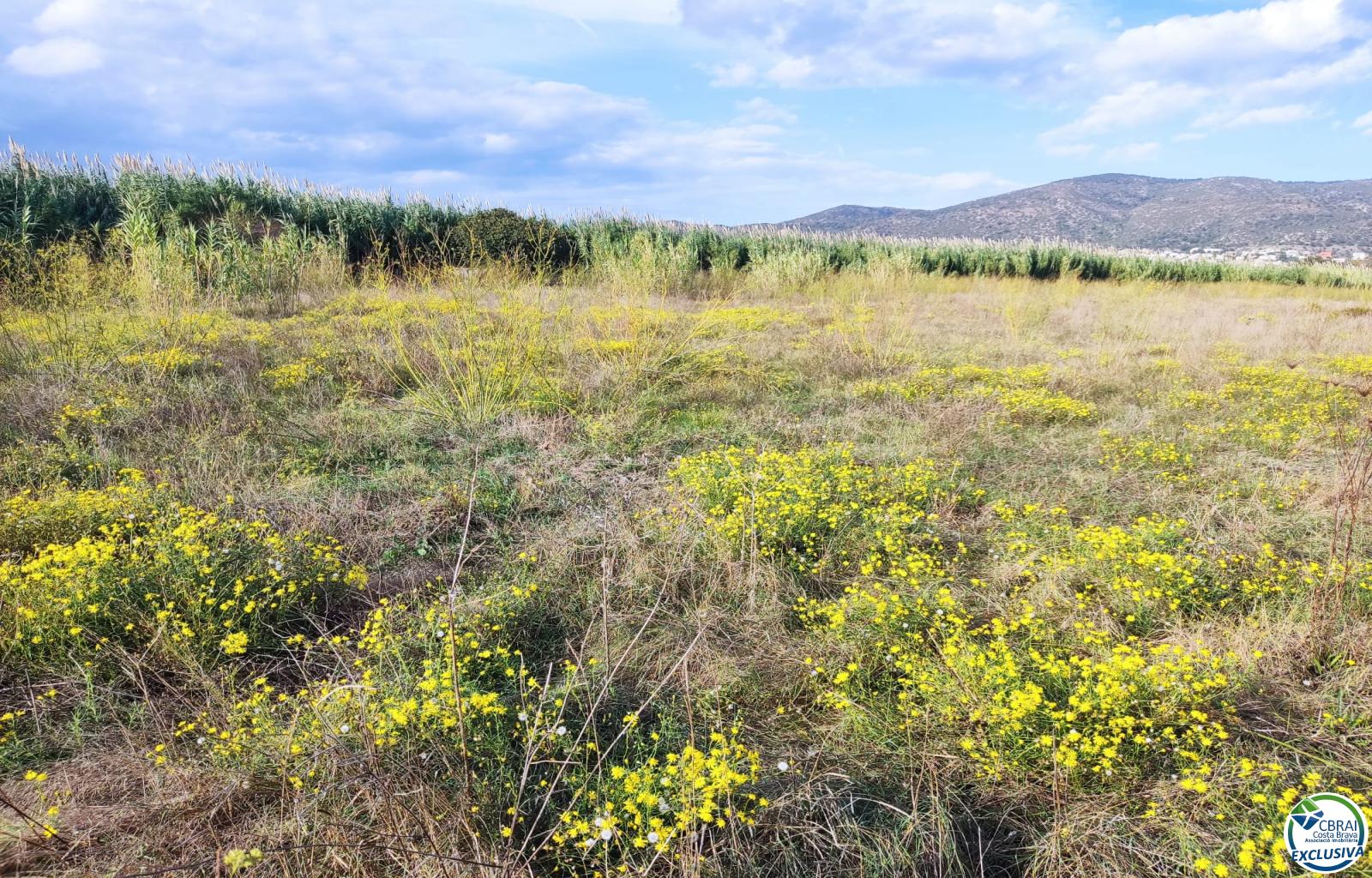 Land in Torroella de Fluvià. - Vilacolum ( urb. Ferien ) - Ref. CBR6668 - photo 4