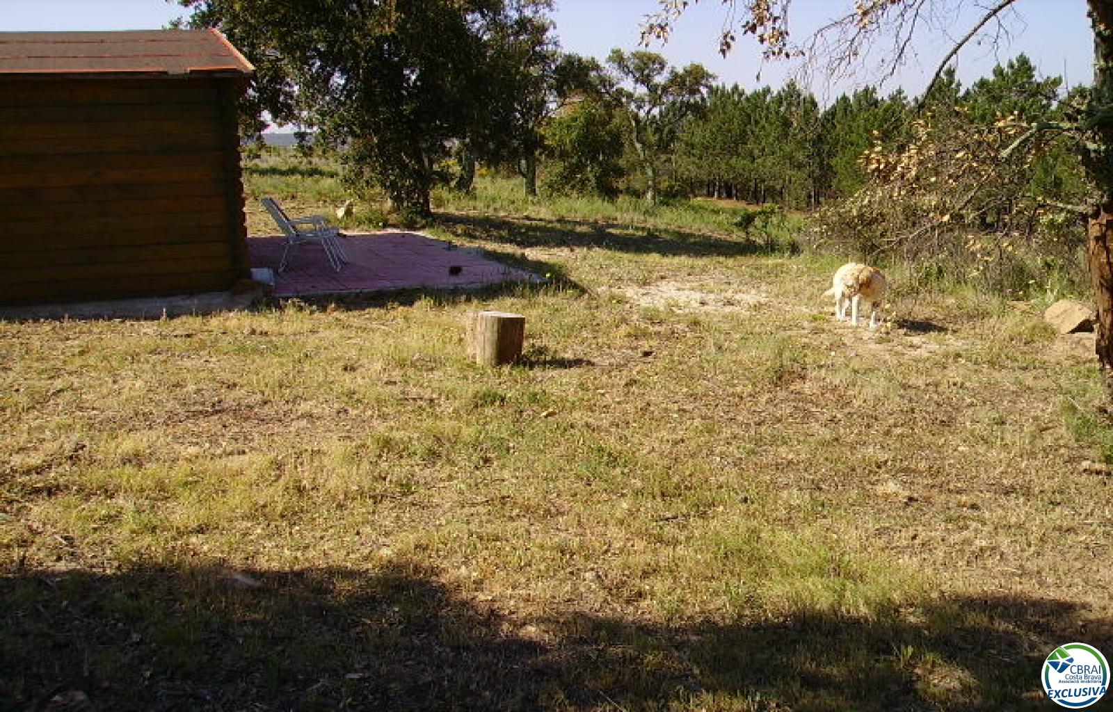 Rustic land of 18,000 m in Garriguella - Ref. CBR5255 - photo 6