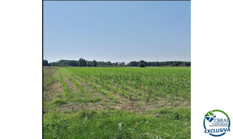 Amplio terreno agrícola en venta Castello d'Empuries