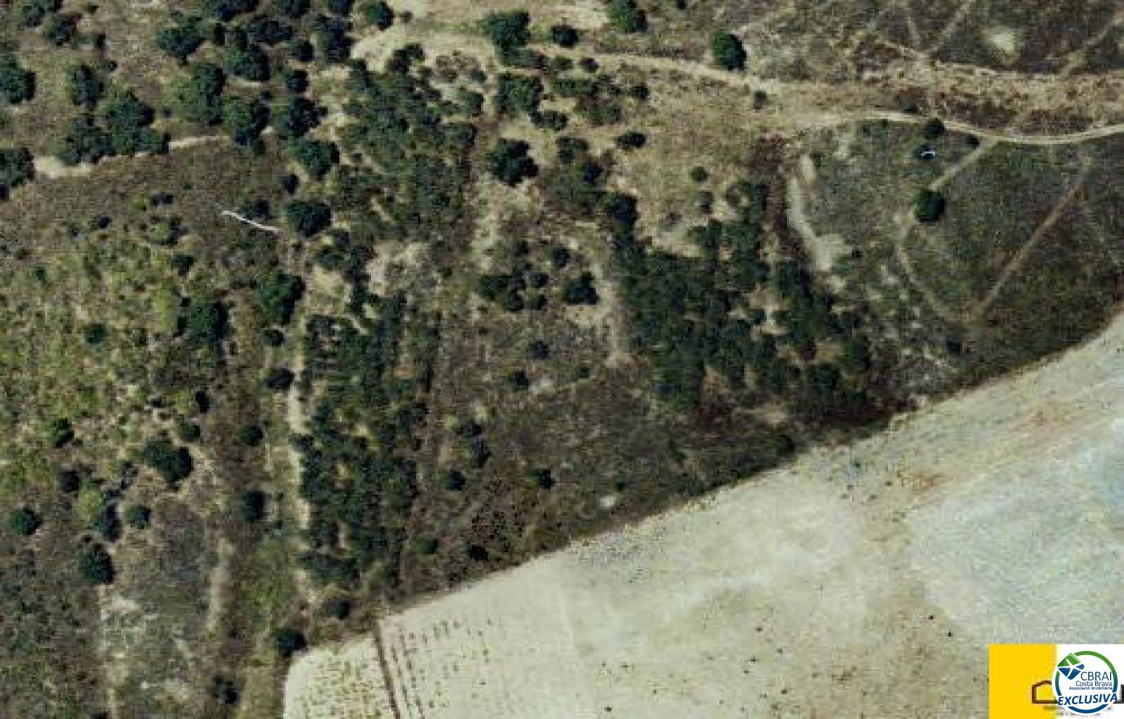 Rustic land of 18,000 m in Garriguella - Ref. CBR5255 - photo 3