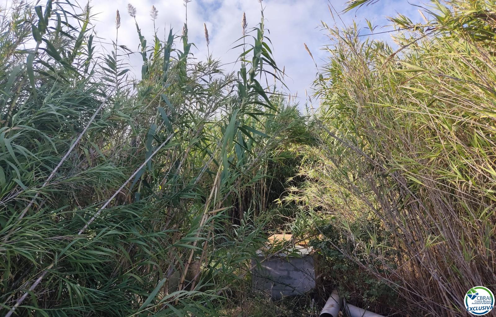 Land in Torroella de Fluvià. - Vilacolum ( urb. Ferien ) - Ref. CBR6668 - photo 5