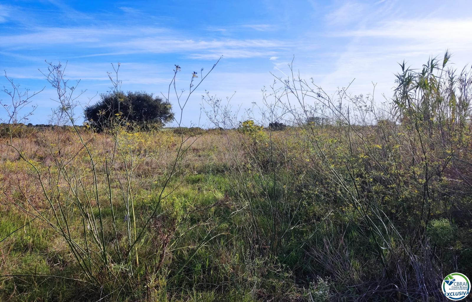 Land in Torroella de Fluvià. - Vilacolum ( urb. Ferien ) - Ref. CBR6668 - photo 6