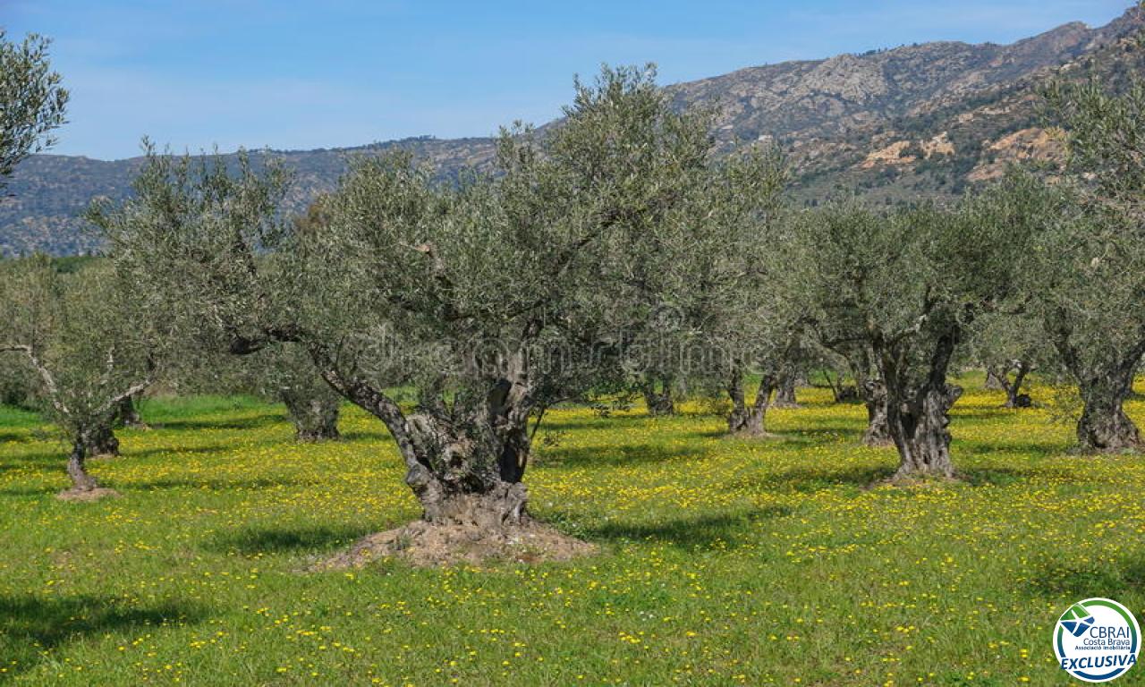 Vente Terrain Palau-saverdera