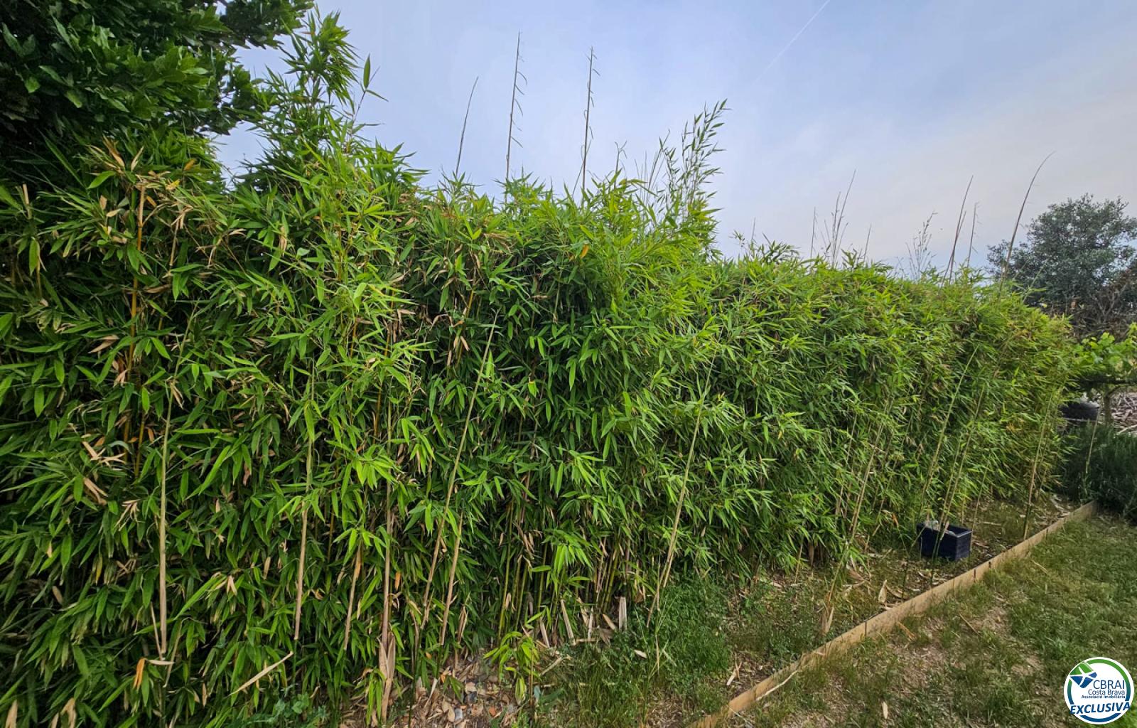 Rural plot for sale in Hostalets de LLers - Figueres - Ref. CBR6657 - photo 27