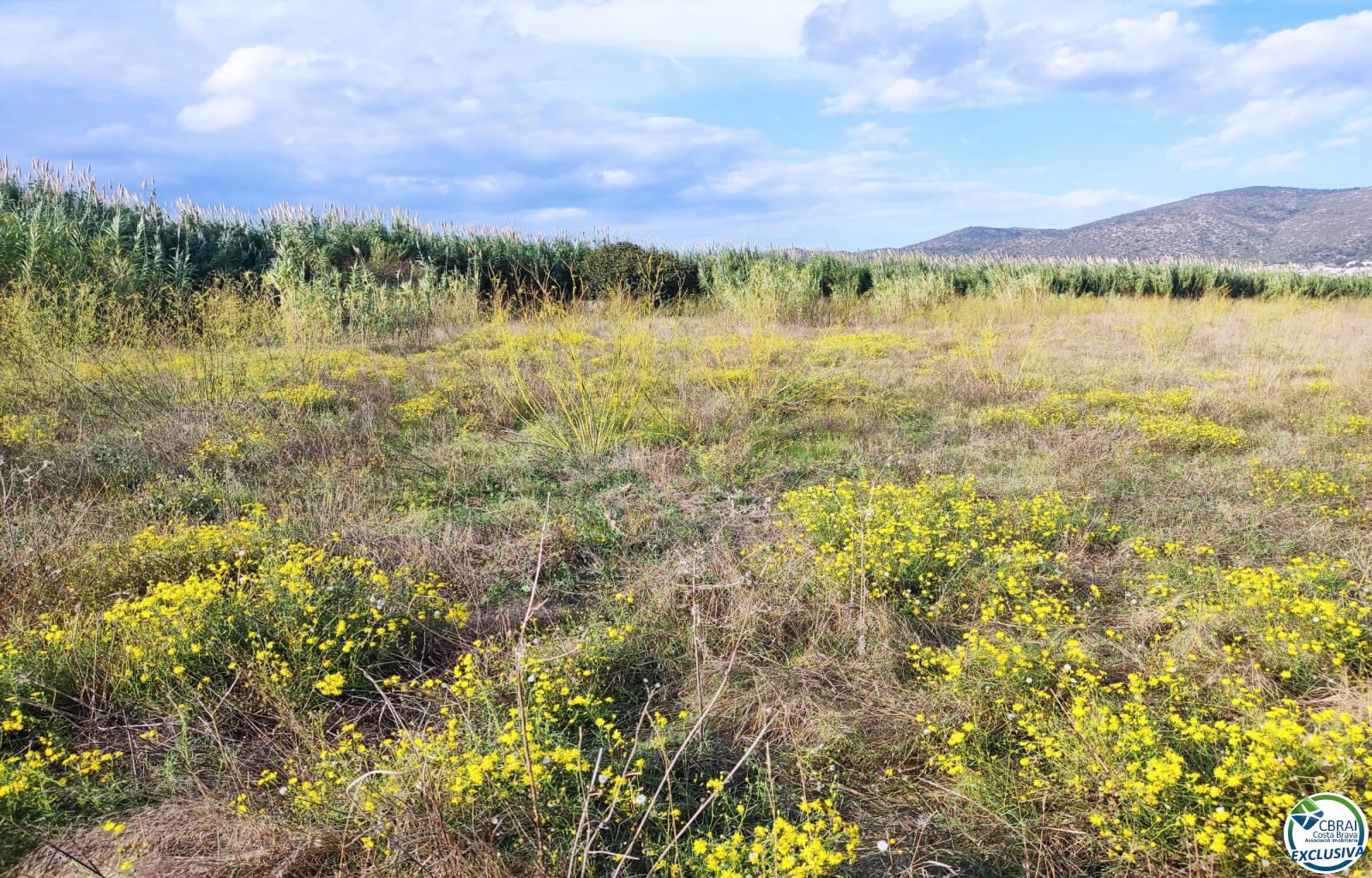 Land in Torroella de Fluvià. - Vilacolum ( urb. Ferien ) - Ref. CBR6668 - photo 3