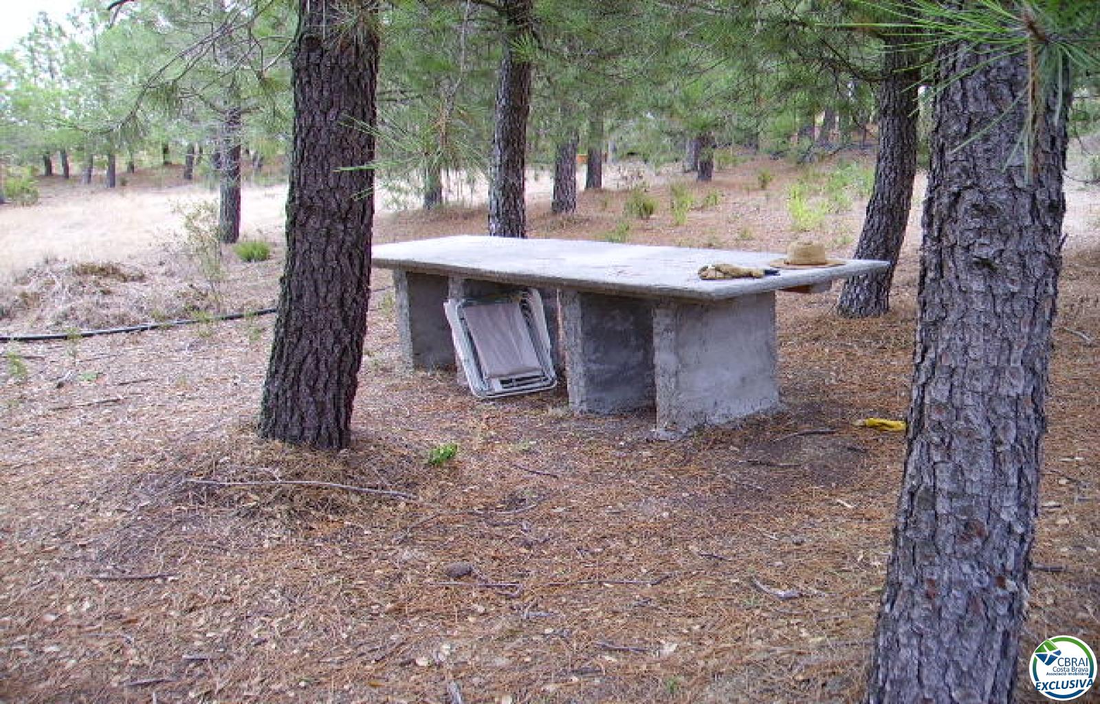 Rustic land of 18,000 m in Garriguella - Ref. CBR5255 - photo 12