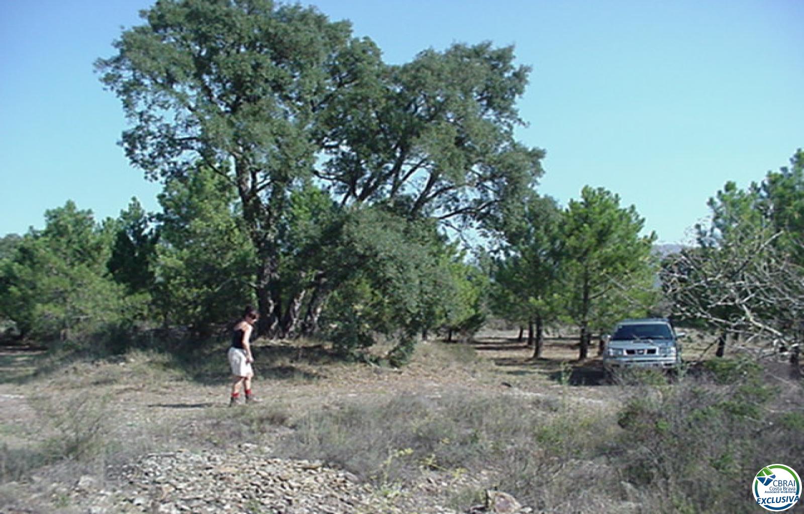 Rustic land of 18,000 m in Garriguella - Ref. CBR5255 - photo 17