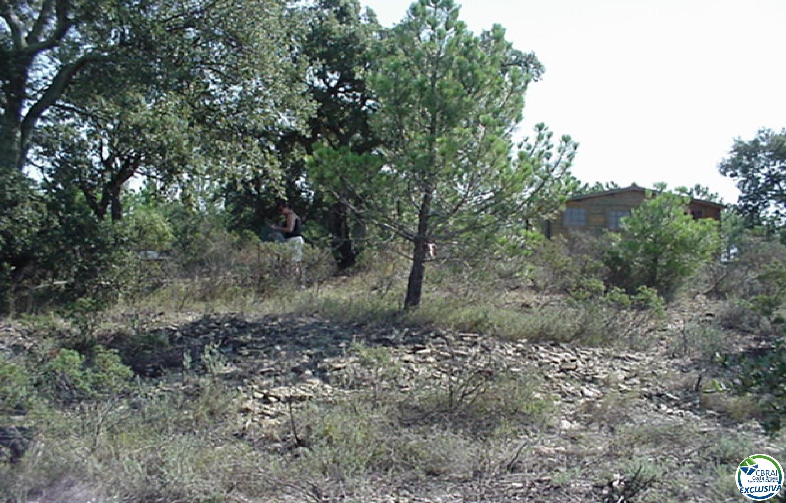 Rustic land of 18,000 m in Garriguella - Ref. CBR5255 - photo 19