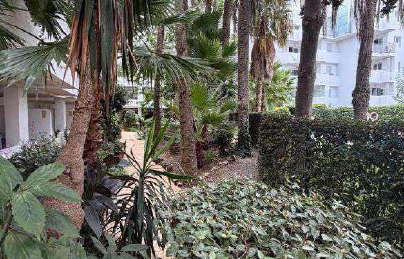 2-bedroom ground-floor apartment with a terrace in a complex with a pool - Santa Margarida - Ref. CBR6665 - photo 5