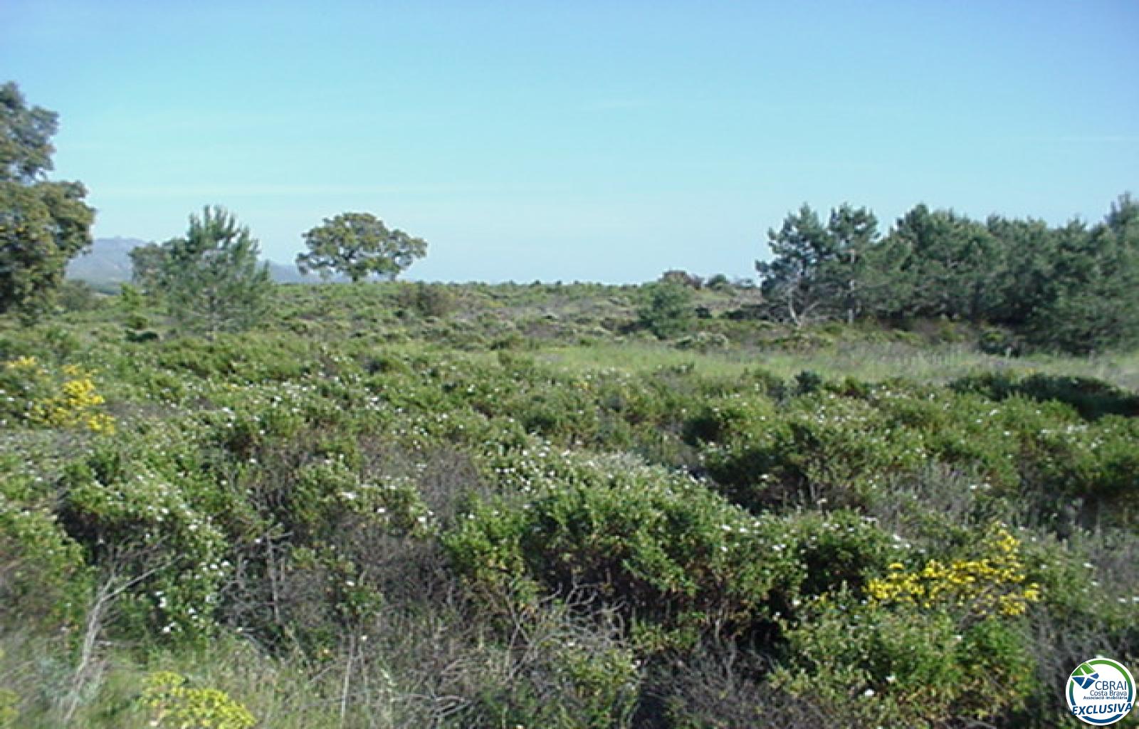 Rustic land of 18,000 m in Garriguella - Ref. CBR5255 - photo 16