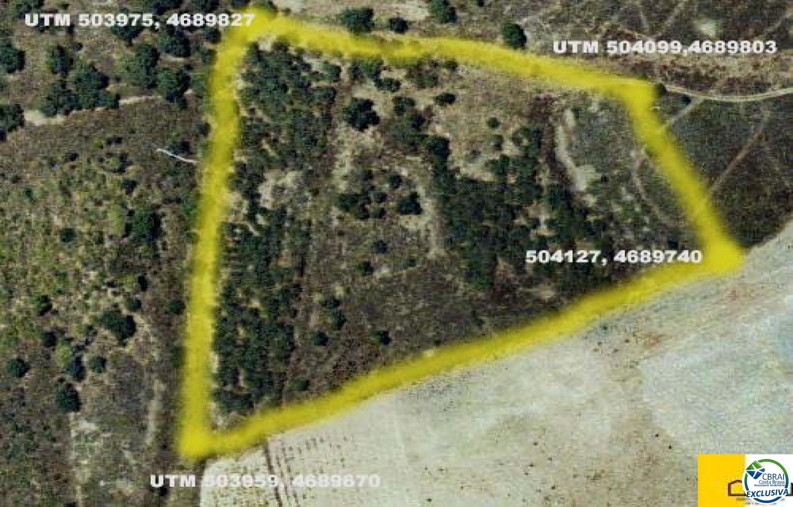 Rustic land of 18,000 m in Garriguella - Ref. CBR5255 - photo 2