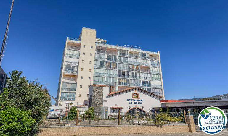 for saleStudio Roses