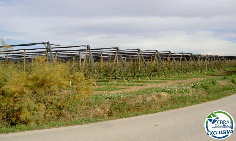 TERRENO DE 5.000 M2.