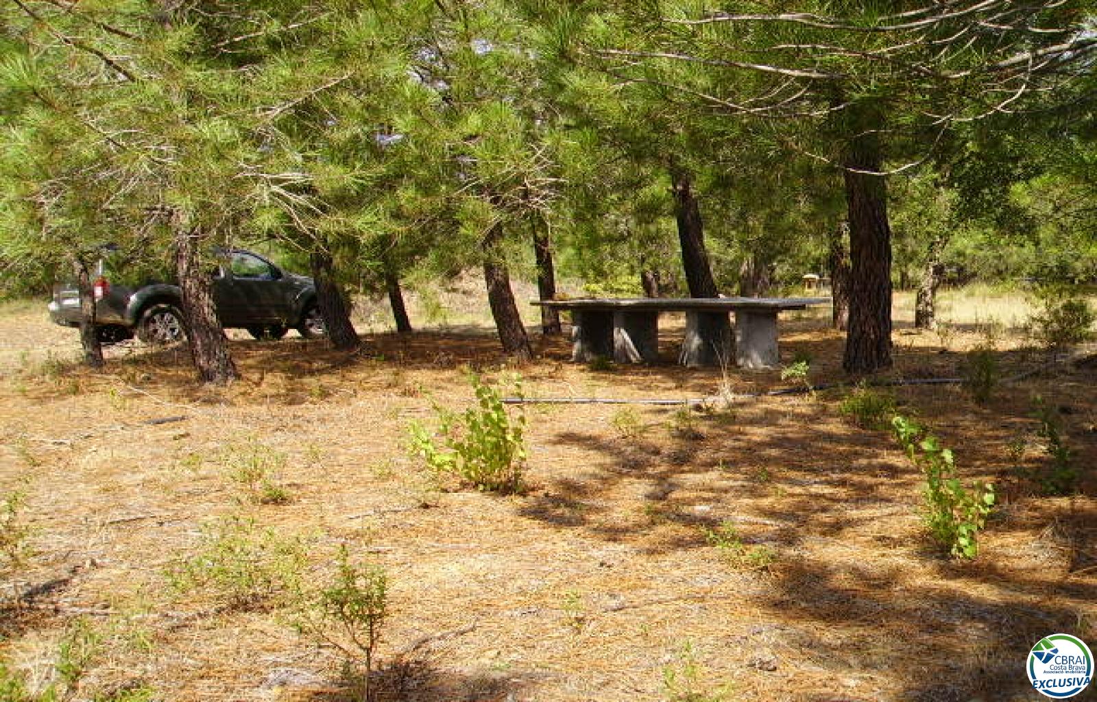 Rustic land of 18,000 m in Garriguella - Ref. CBR5255 - photo 15