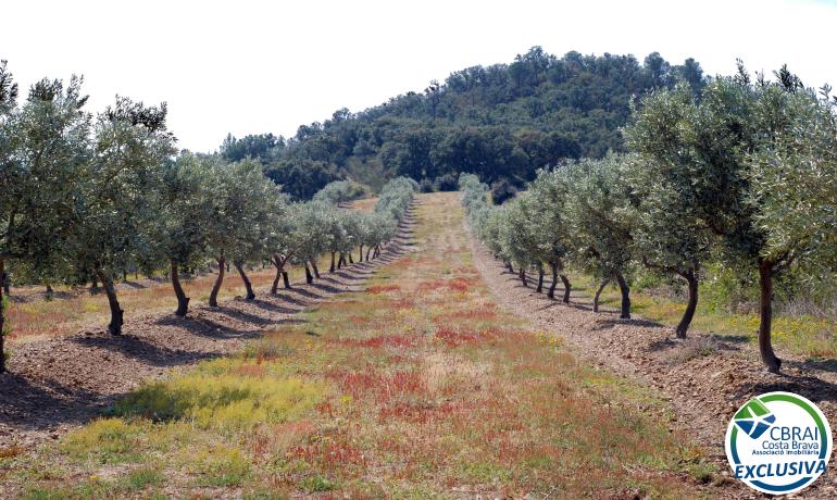 À Garriguella