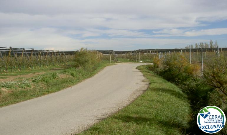 TERRENO DE 5.000 M2.