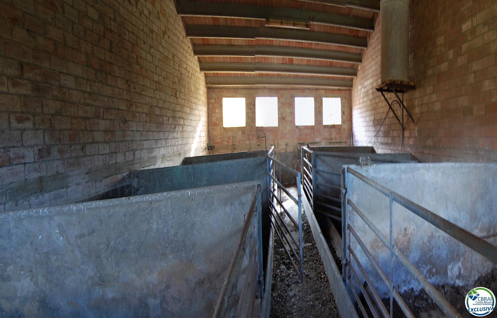 Magnificent livestock and forestry estate in Vidrà, 3.5 km from the village with a paved access road. It covers an area of ​​108 hectares. - Ref. CBR6381 - photo 24