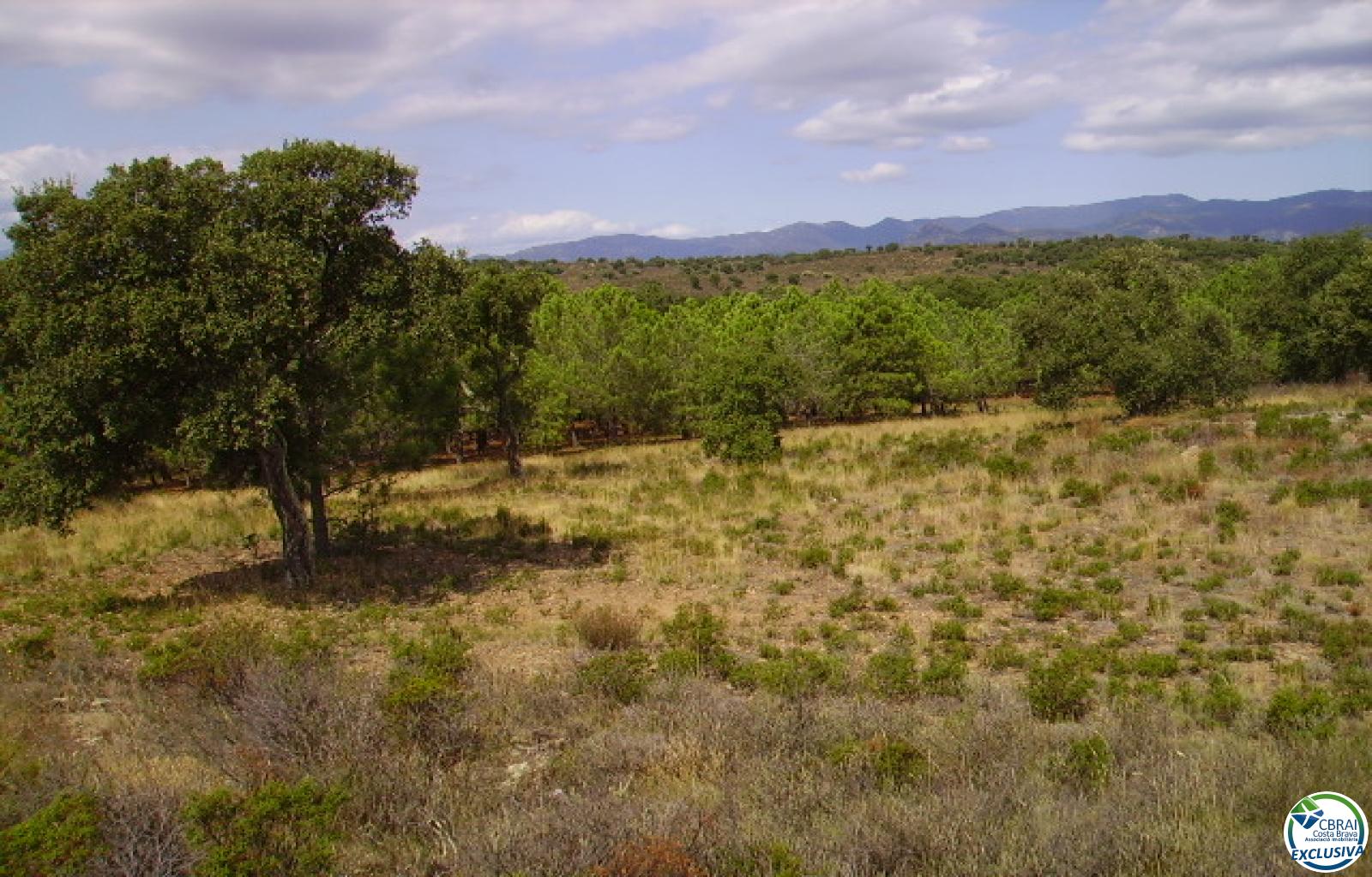 Rustic land of 18,000 m in Garriguella - Ref. CBR5255 - photo 13