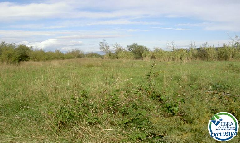 TERRENO DE 5.000 M2.