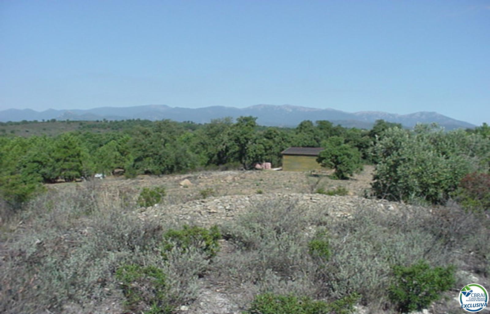 Rustic land of 18,000 m in Garriguella - Ref. CBR5255 - photo 18