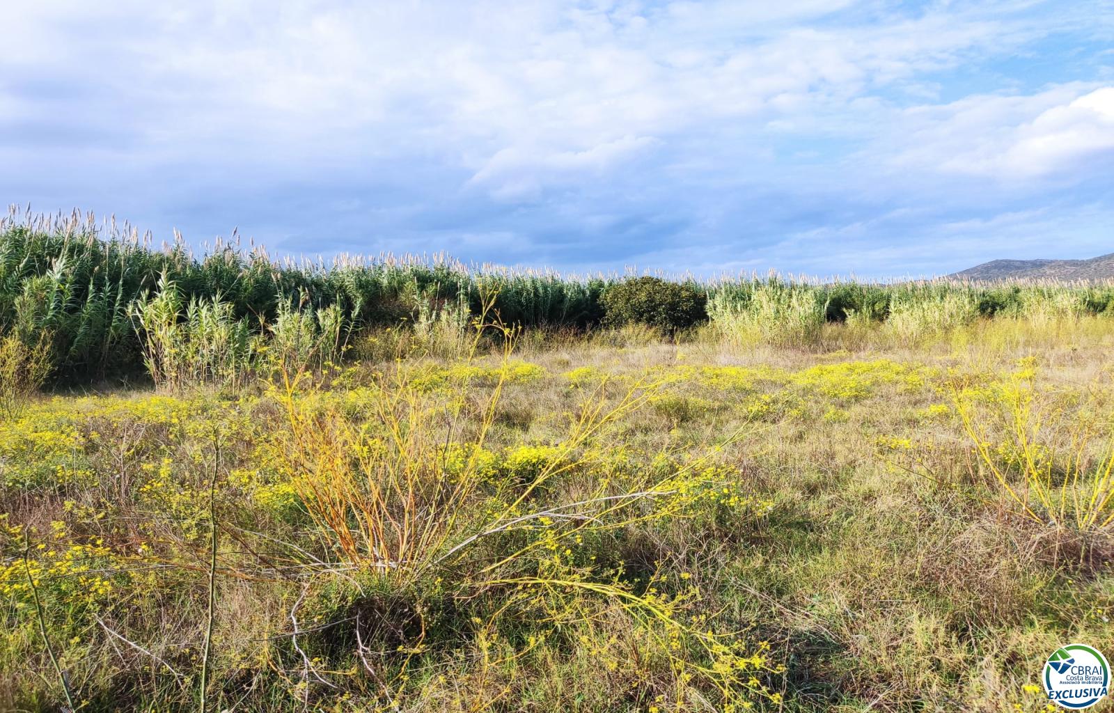 Land in Torroella de Fluvià. - Vilacolum ( urb. Ferien ) - Ref. CBR6668 - photo 8