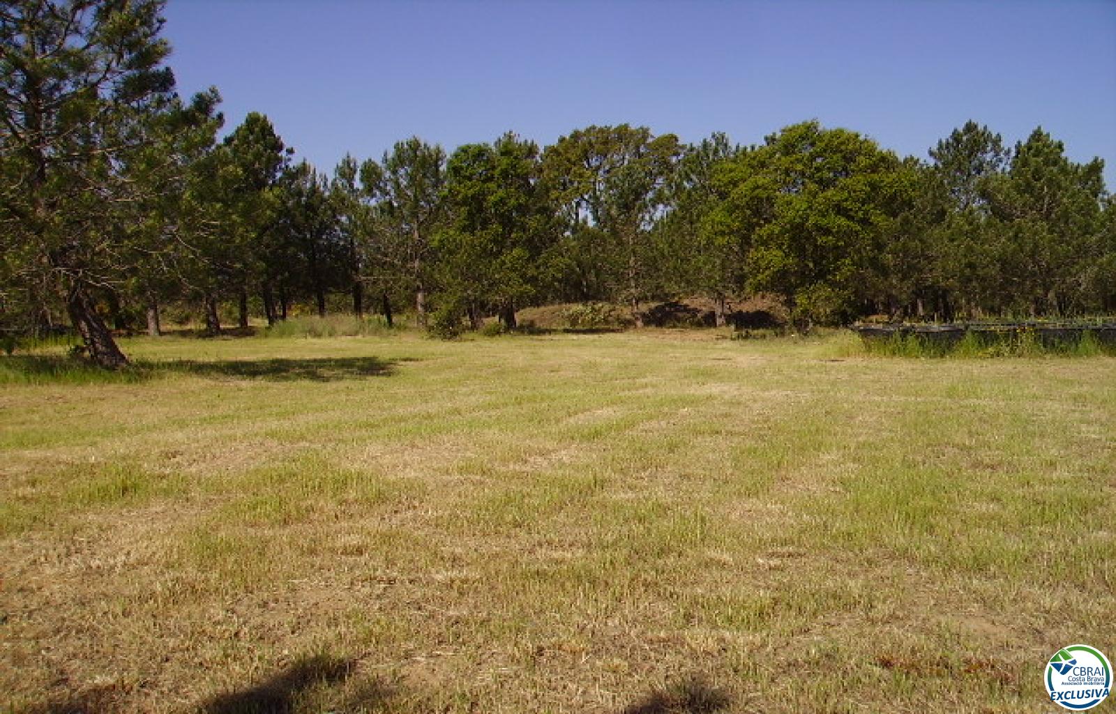 Rustic land of 18,000 m in Garriguella - Ref. CBR5255 - photo 4