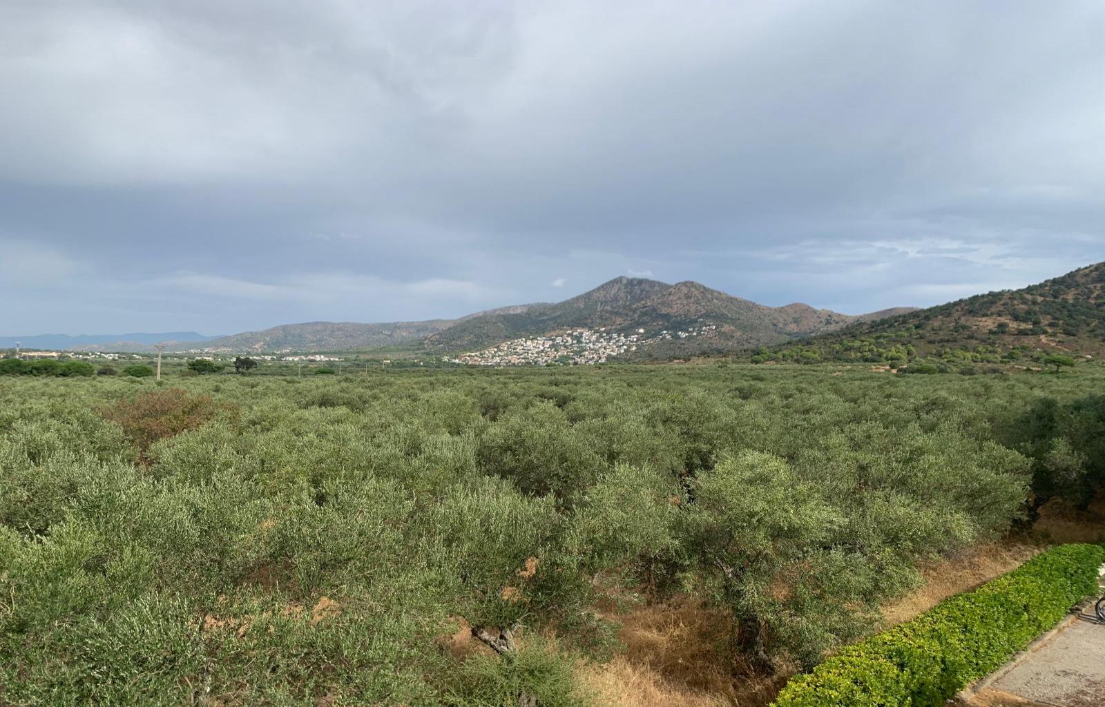 BEL APPARTEMENT AU MAS OLIVA DE ROSAS - Ref. CBR6633 - photo 20